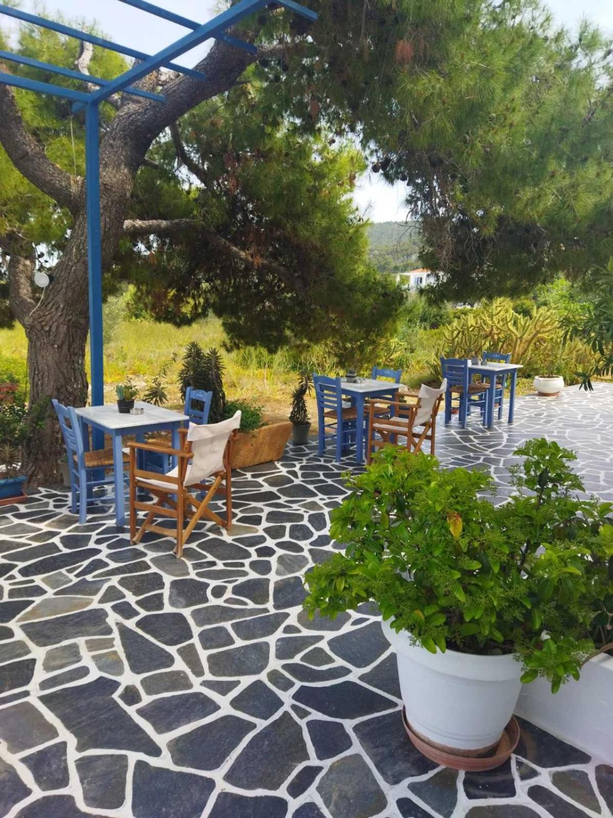 Hotel Flisvos Megalochori  Экстерьер фото